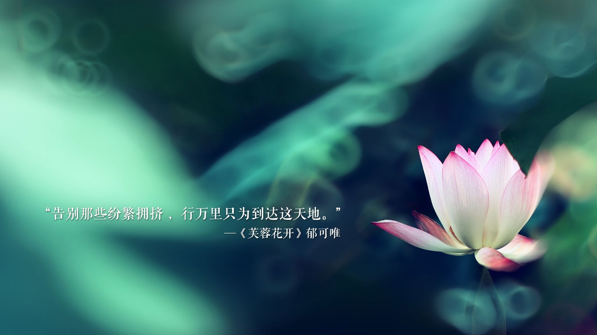 开云入口-利物浦在对阵莱斯特城的比赛中展现团队配合，利物浦与莱斯特城比赛结果