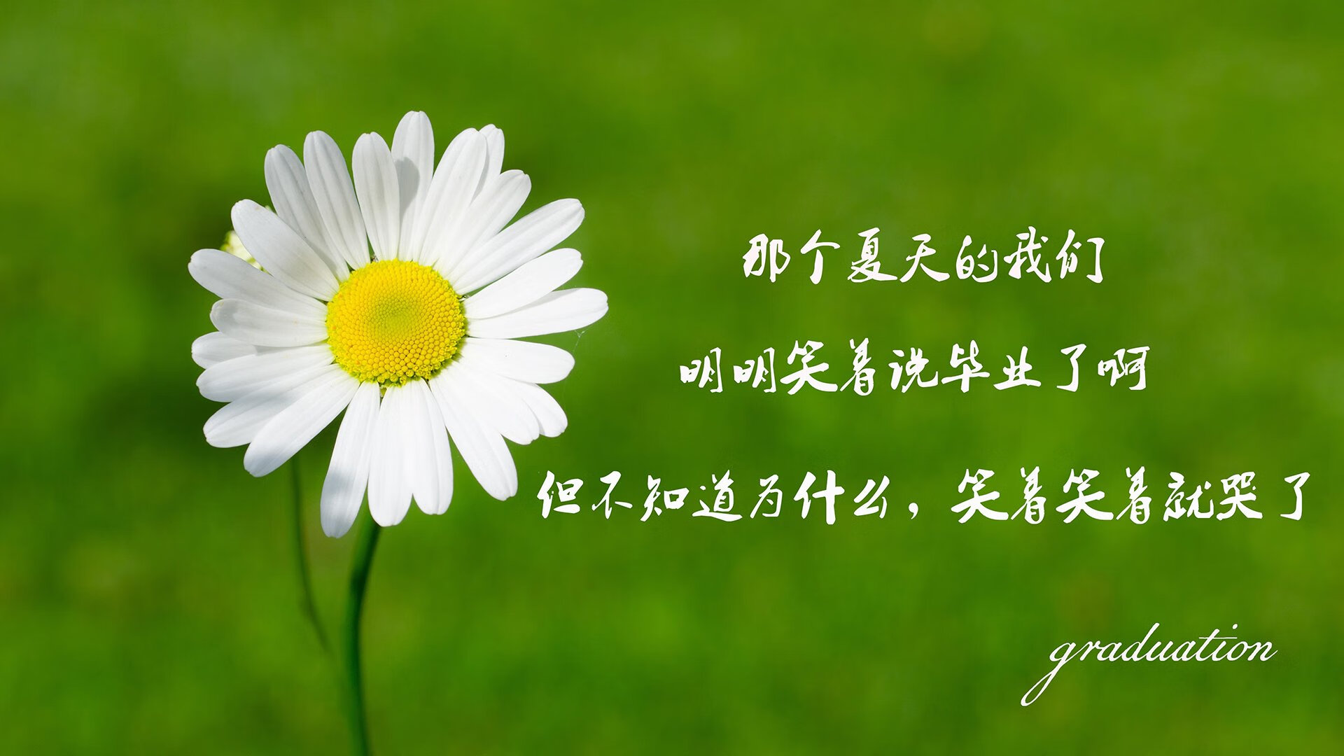kaiyun.com-多位核心球员伤势缠身，球队士气将如何应对？，球队核心是什么意思