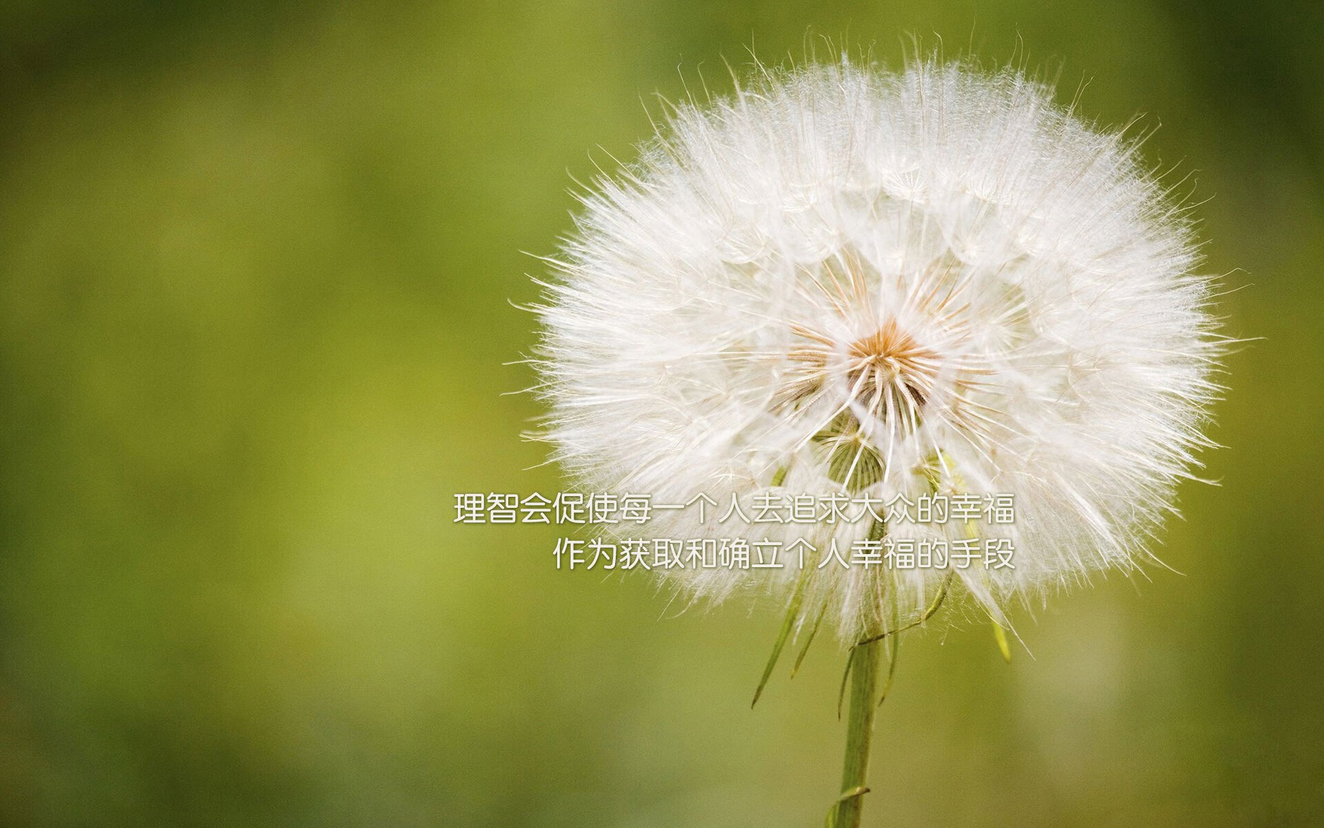 Kaiyun官方登录入口-比利亚雷亚尔客场输球，遇到赛季首场失利，比利亚雷亚尔最近战绩