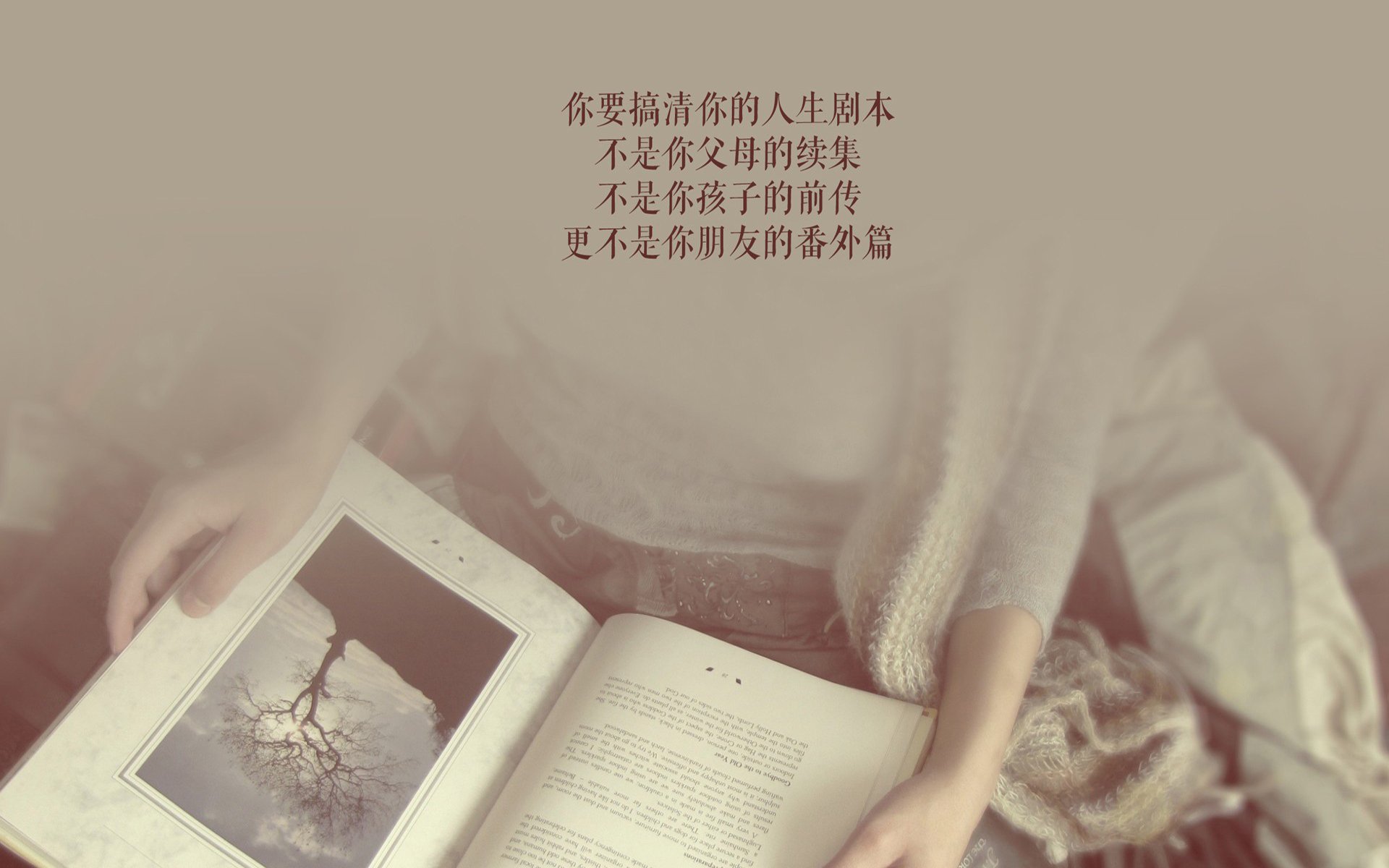 kaiyun开云·官方网站-世界青年花样轮滑锦标赛燃情上演，世界轮滑锦标赛项目