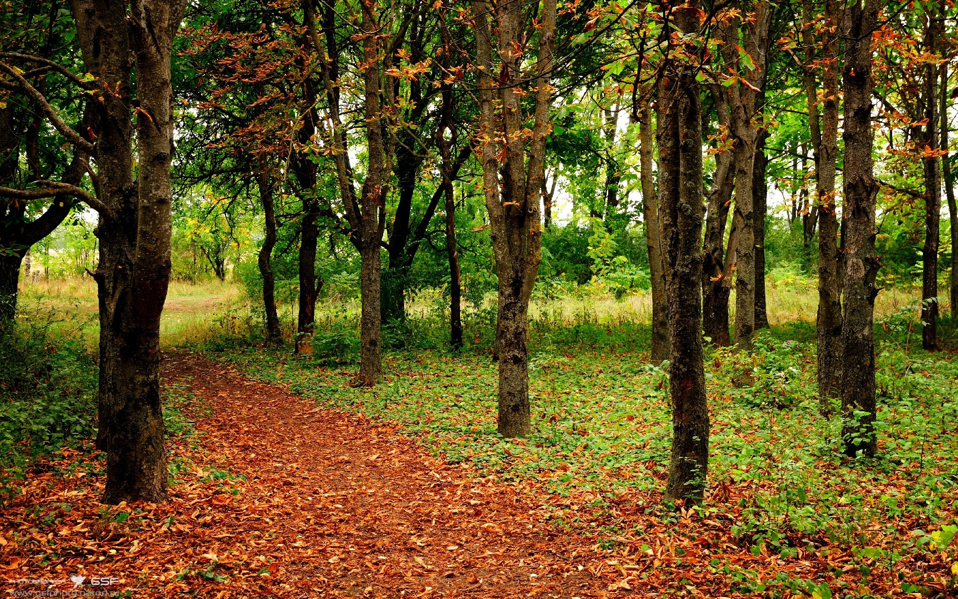 开云官方网站-职业联赛对年轻球员的上场容忍度是否足够，职业联赛年龄