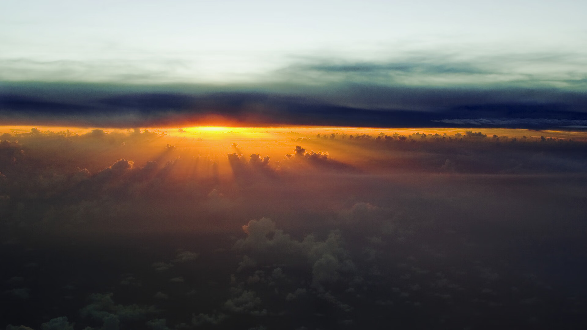 女子橄榄球或率先实现商业独立,女子橄榄球叫什么