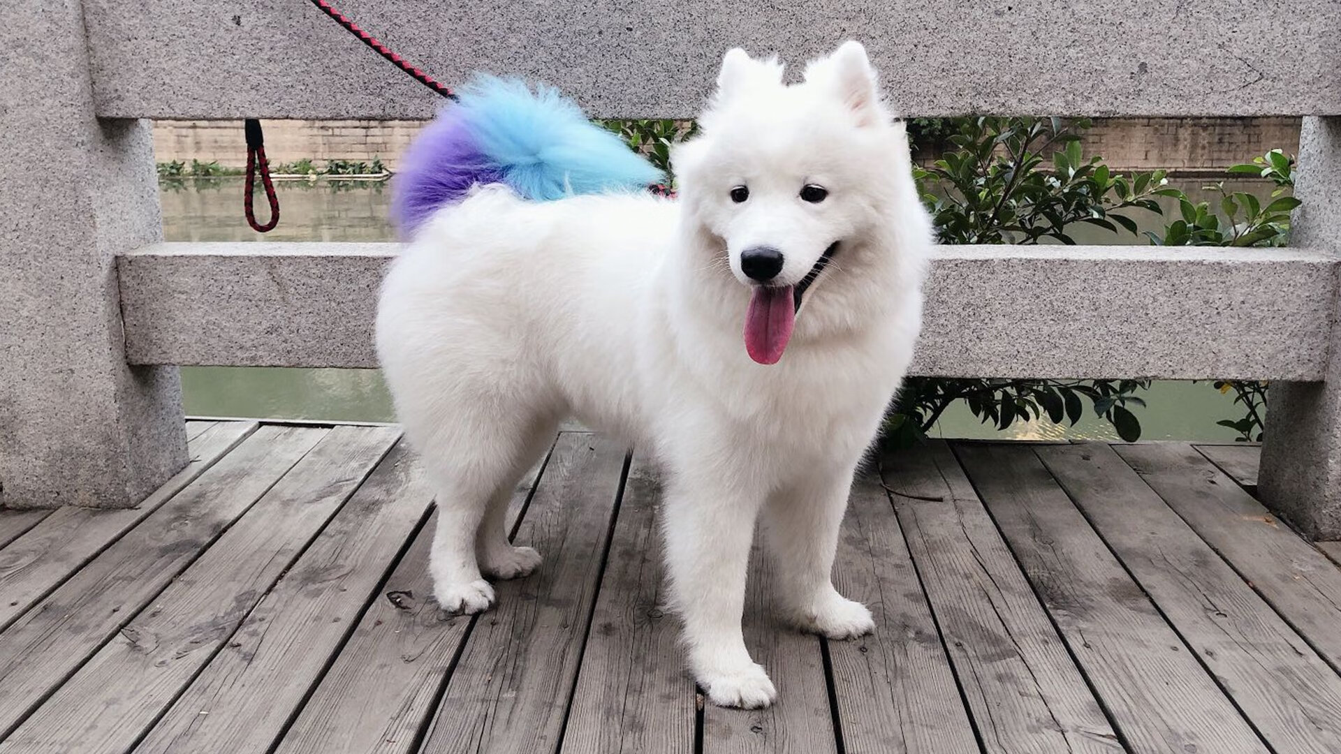 kaiyun官方网站-掘金主力中锋隔离后归队苦练，掘金主力后卫