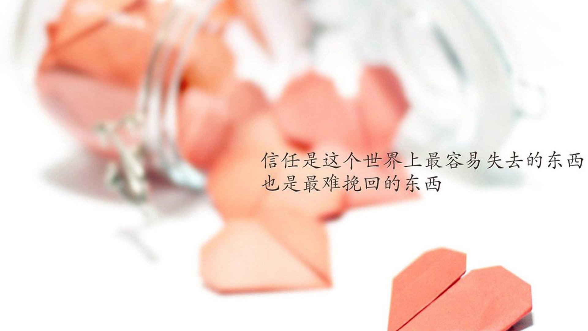 澳大利亚推出橄榄球发展计划,助力运动普及,澳大利亚橄榄球联盟