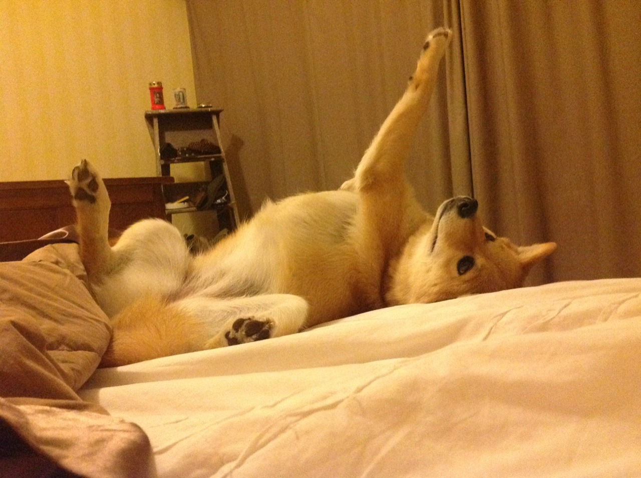 开云·体育官网-职业球员参与战术设计会议体现战术民主与球员责任感，球队战术风格