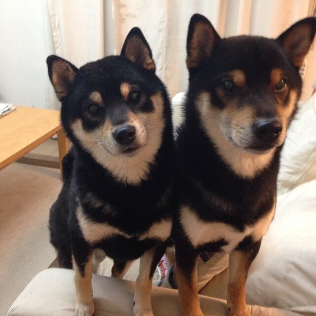 詹姆斯带动替补发挥湖人深度体现，詹姆斯带领湖人