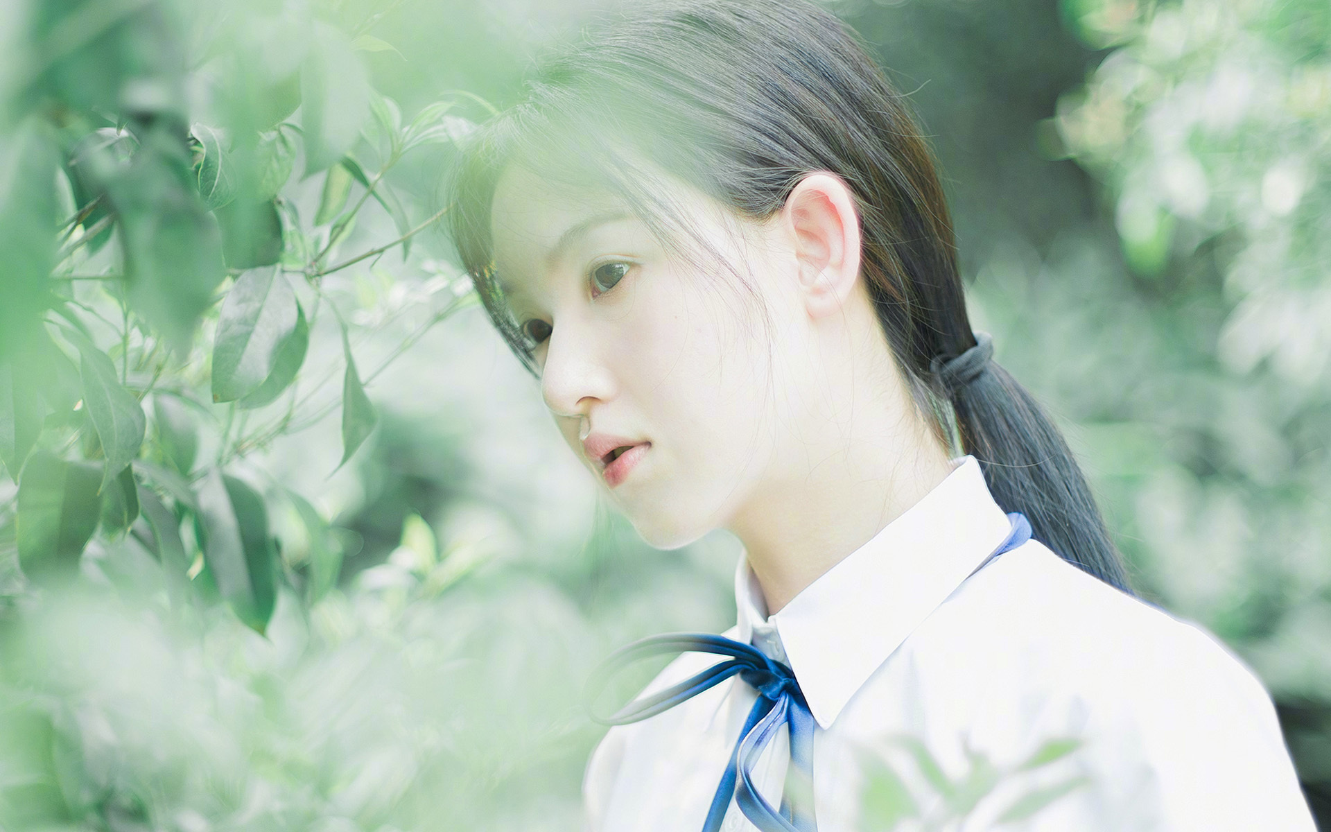 陈艺文跳水路线完美执行，跳水运动员陈艺文是哪里人