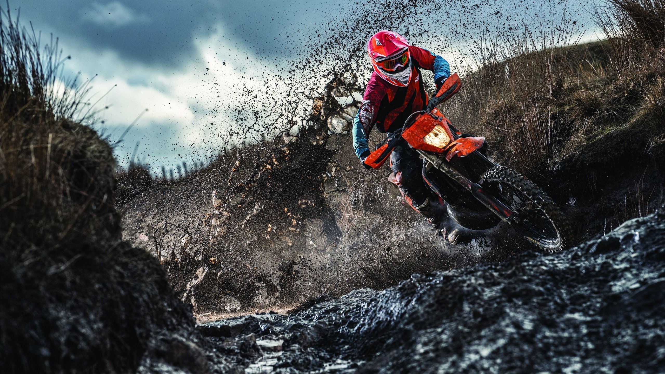 国际滑雪锦标赛中国选手夺多金，成绩喜人，国际滑雪冠军有哪些